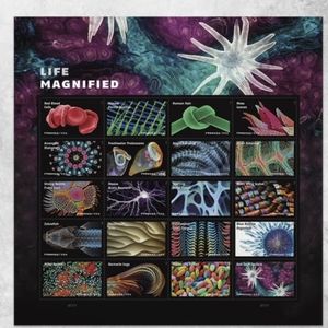 100 Life Magnified 2023 Forever Postage Stamps US Postal USPS Wedding Invitation